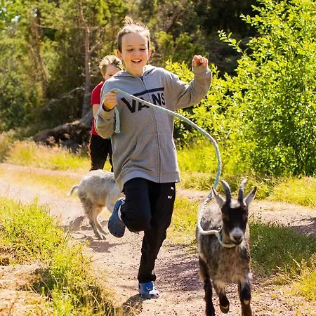 Westergards Dom wakacyjny *