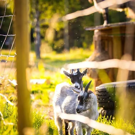 Semesterbostad Westergards *