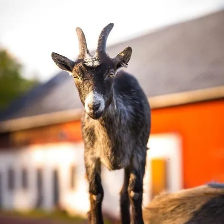 Westergards Dom wakacyjny