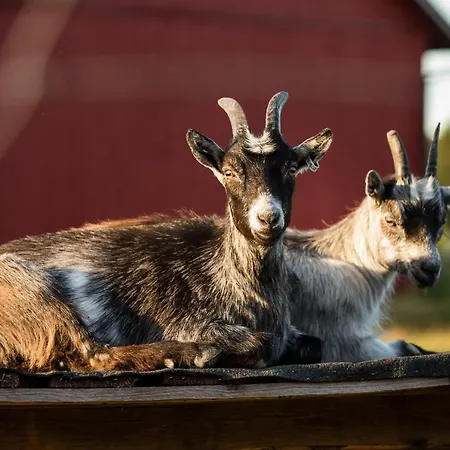 Semesterbostad Westergards Föglö