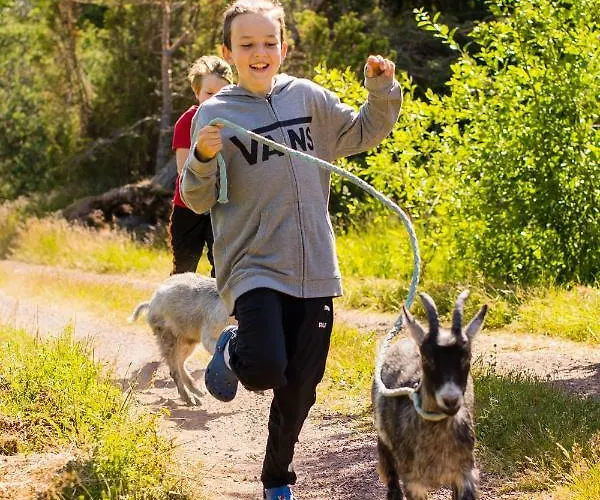 Westergards Tatil Evi *