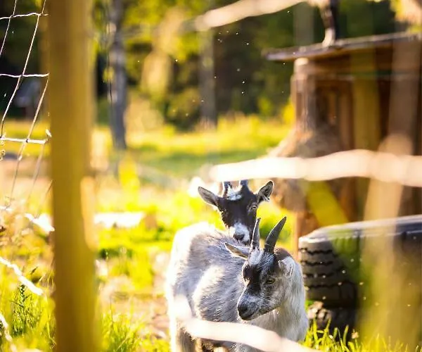 Tatil Evi Westergards *