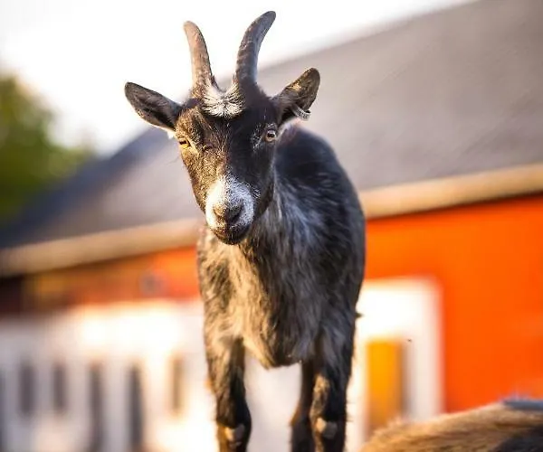 Westergards Tatil Evi